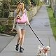 ALLSOPETS Hunde Tragetasche Reversible Welpenträgertasche mit Stauraum Tasche Freihändiger Katzentragetasche für Kleine Hunde und Katzen Ideal für Reisen und Outdoor (Blassrosa)