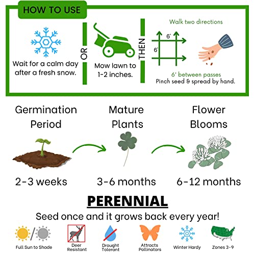 Dutch White Clover Seed 1000 Sqft - Flawn Seed Flowering Lawn, Kid, Pet, Pollinator & Eco-Friendly Grass Alternative - Easy To Use & Cost Effective… #TOP4