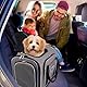 Erweiterbare Katzen-Transporttasche, 4-seitig öffnbar, Flugzeug-genehmigt, Für Katzen & Kleine Hunde, Auto, Flugzeug, Bahn, Faltbar, Weiches Fleece-Bett, 45x28x28cm, Reisefreundlich & Sicher