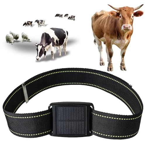 Animal GPS Tracker   Posicionamiento en tiempo real, seguimiento histórico, localizador impermeable para ganado, ovejas y caballos