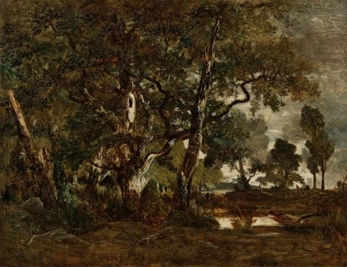 Impression Tableaux Peinture sur Toile Forêt de Fontainebleau SERENDIPITP Évasion Poétique