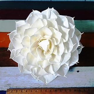 6 Dahlias Sharp Edge Artificial Sola Wood Flower Diffuser Flowers 15 cm Dia. for Decorate Craft