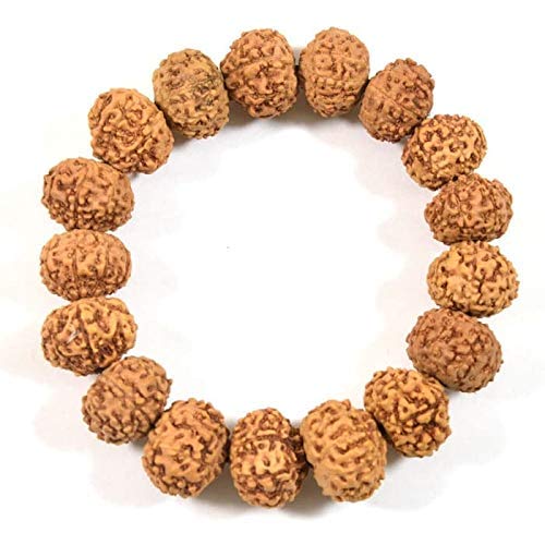 MAUTIK SADIWALA 8 Mukhi Rudraksha Bracelet Unisex Bracelet Java Beads Adjustable 8 Mukhi Rudraksha Bracelet (B09PMCBBY7) Amazon Price History, Amazon Price Tracker