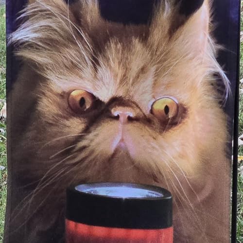 『New Season Dec 1,2025』のカバーアート