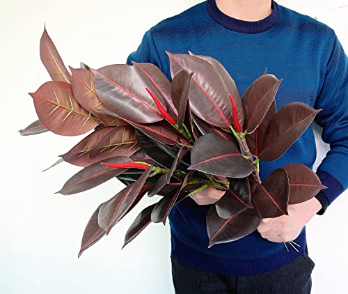 Artificial Rubber Tree Plant Stems Fake Tropical Burgundy Ficus Elastica Tree Houseplant Branches For Home Office Garden Decoration - 17.5 Inch (Red - Pack Of 4Pcs) #TOP2
