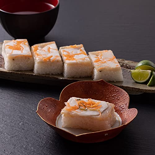 ܂̂{  ⓀiRejyu WE Ԃ 20