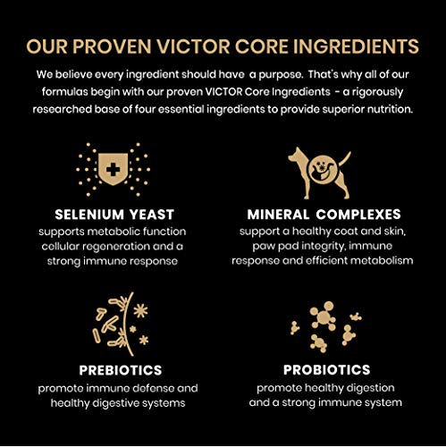 VICTOR Classic - Hi-Pro Plus Dry Dog Food