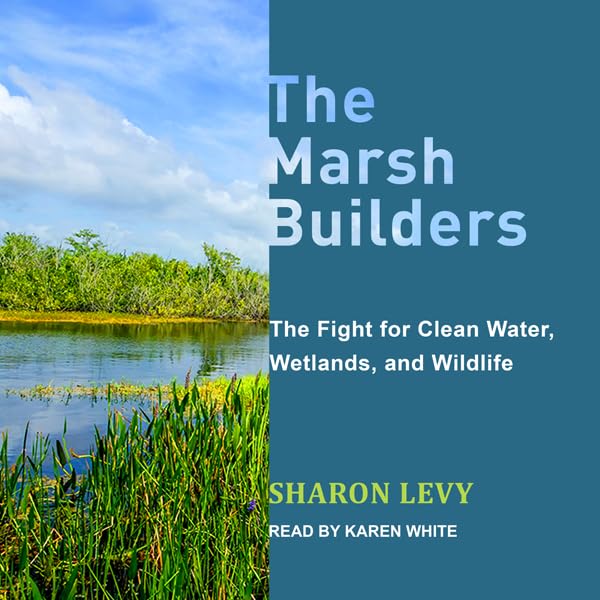 Cover art for The Marsh Builders