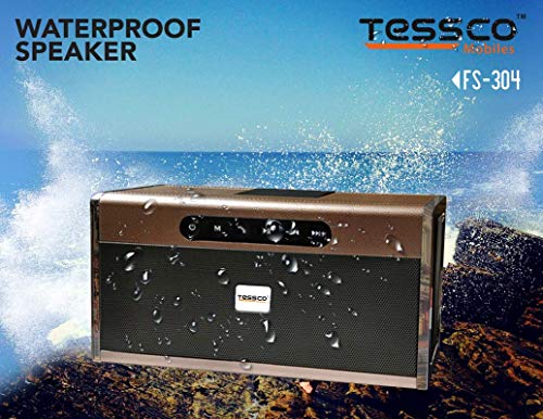 Image of 3 idea Imagine Create Print Tessco FS-304 Portable Wireless Bluetooth Speaker | Portable Wireless Speaker Compatible with Phone, Tablet, TV (Silver)