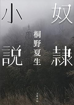 奴隷小説