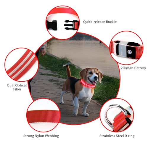 PcEoTllar Leuchthalsband Hund USB Aufladbar - LED Halsband für Hunde Hundehalsband Wasserdicht Leuchtend Einstellbare Größe, 3 Modi, Leuchthalsband für Nachtsicherheit Kleine und mittlere Große Hunde