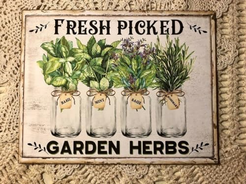 Herb Fresh Picked Garden Herbs Mason Ball Jars Farmhouse Retro Metal Tin Sign Vintage Sign for Home Kitchen Coffee Shop Wall Decor 6x8 Inch
