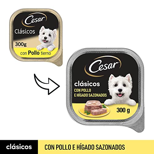 Cesar Nassfutter in Gelee für Hunde mit Huhn und Leber (Packung mit 20 Becher x 300g)-7