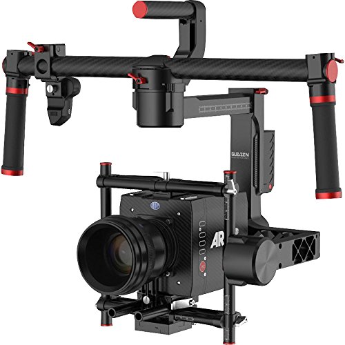 Preisvergleich Produktbild Moza Pro Stabilizer