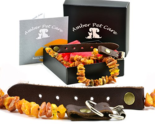 Bernsteinkette für Hunde und Katzen mit Lederschließe aus Roh Baltischer Bernstein / Elegance Zeckenhalsband / Flohband / Bernstein Gegen Zecken / Zecken und Flohschutz Halsband / Zeckenschutz Hund / Ungezieferhalsband