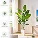 Fake Bird of Paradise Silk Artificial Plant Faux Banana Leaf Tree Lifelike Bird of Paradise for Home Decor Indoor Floor Plant with 10 Trunks (1, White Tall Planter, 6 FT)