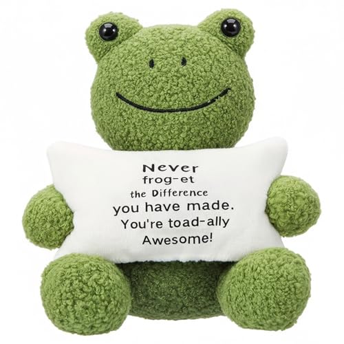 Hollowfly 8.66 Inch Funny Positive Frog Cute Stuff Active Support Gifts Motivational Gifts for Women Men Coworker Teacher Christmas Birthday Creative Plush Frog Holding Pillow Gift Positive Decor