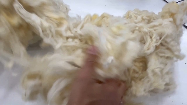 Image of 1 Lb raw Wool Sheep Washed w /Debris,Natural Wool for Stuffing Animals, Crafts, Cushions, Pillow Filler, Needle Felting Spinning.School Projects