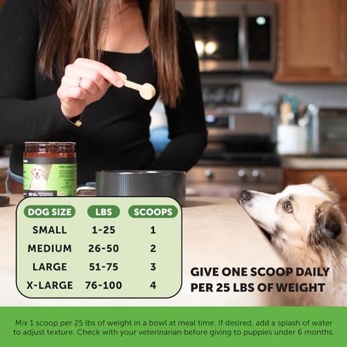 Image of Pet Honesty Pumpkin Fiber Powder Supplement for Dogs - All Natural Dog Probiotic with Psyllium Husk, Pumpkin Seeds and Apple Pectin for Healthy Digestion (90 Scoops)