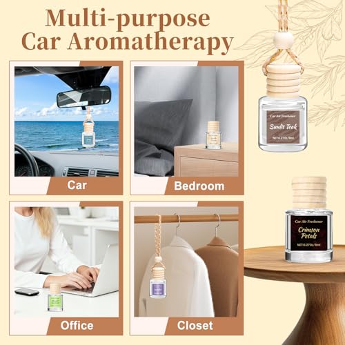 Image of 6 Pack Car Air Freshener, Hanging Essential Oil Air Freshener