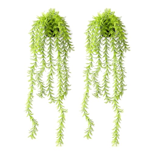 Image of TIED RIBBONS Set of 2 Artificial Hanging Ferns Plants with Pot Potted Greenery for Wall Home Decor Wall Pot Indoor Outdoor Office Garden Balcony Decoration Items (70 Cm, Long)