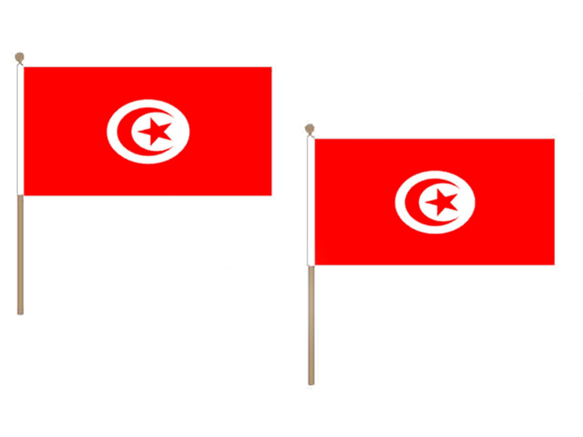 Drapeau tunisien 30 x 45 cm pour décorer vos soirées à thème et mariages familiaux lot de 10