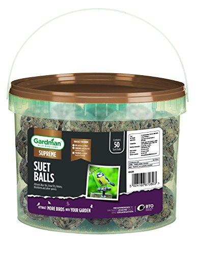 Gardman Energy Suet Fat Balls Bird Food, 50 Tub