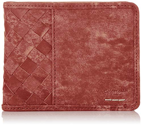 [Coloregalo] Yz ܂z v {v U[ ܂ D {i CXMW8CS2 bh