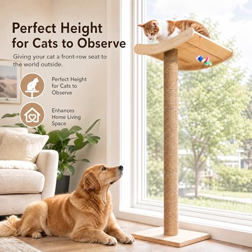 Image of Window Cat Perch with Scratching Posts, 46 inch Wood Tree Bed for Maine Coon Big Cats Perching and Lounging, Mounted with 3 Strong Suction Cups (Wood Platform)