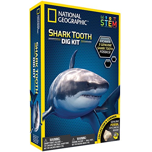 National Geographic Dig Kit: Shark Teeth Fossils, Archaeology & Marine Biology for Kids - Image 6