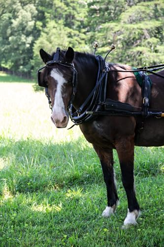 New Country Organics Performance Horse Feed For Horses In Light To Moderate Work thumb #2