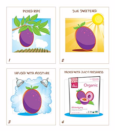 Fruit Bliss Dried Fruit Mix – Fruit Medley Of Organic, Dried & Pitted Apricots, Plums & Figs - Organic Fruit Snacks, Dried Fruit Snacks, Resealable Pouches, Gluten-Free Vegan Snacks (6 Pack, 5 Oz) #TOP4