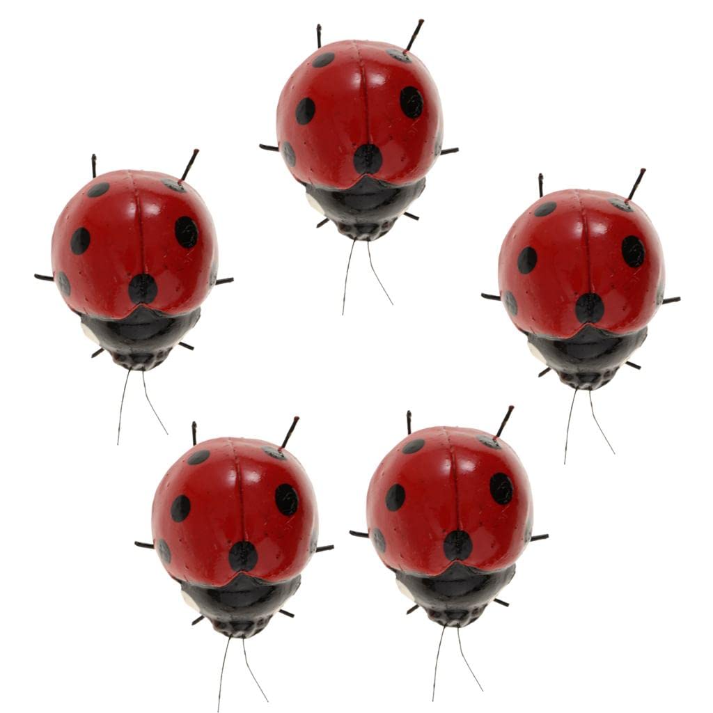 Modèle d'insecte artificiel coccinelle F Fityle, un cadeau éducatif unique