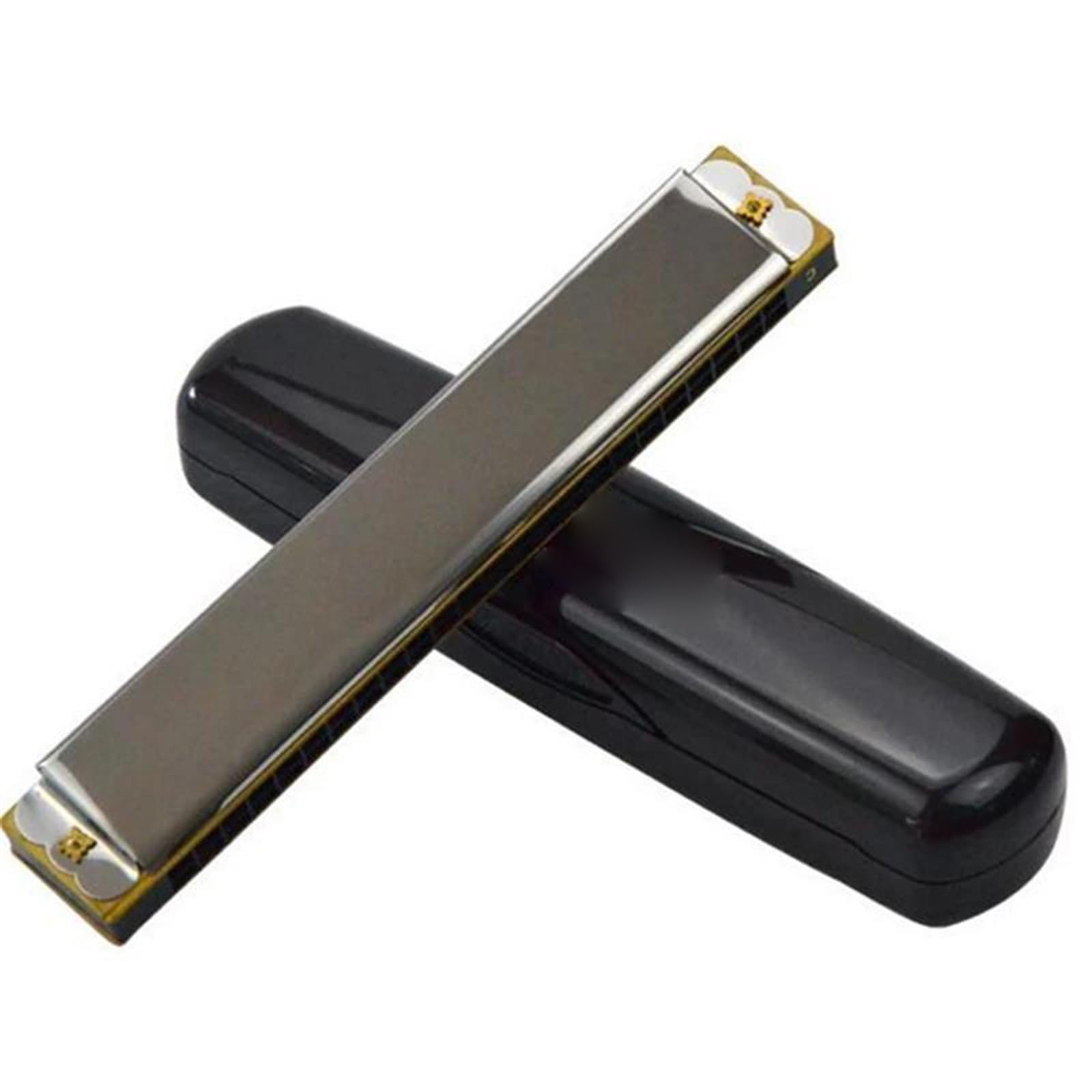 armonica a bocca Armonica Tremolo A 24 Fori Chiave C Arpa Scala Strumento Musicale Organetto A Bocca