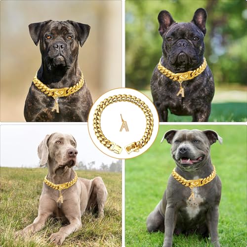 15mm breite goldene Hundekette mit Anhänger,18K vergoldete Edelstahl-Walking-Ketten aus kubanischen Gliedern,Starke,kausichere Halsbänder für kleine und mittelgroße Hunde (50cm)