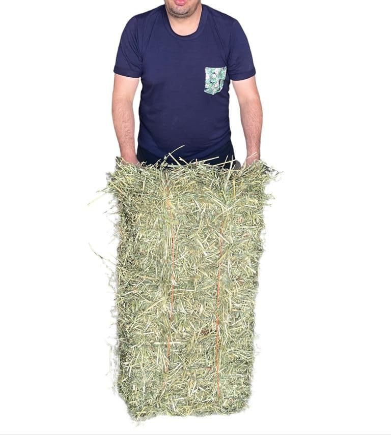 Cremas Y Lociones, Video On Demand PACA HENO DE AVENA 10 KG CUYOS O CONEJOS