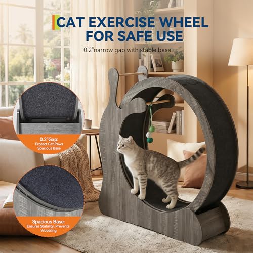 Roue d'exercice pour chat faible bruit pour préserver le calme intérieur - 3