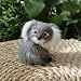 Imagen de Generisch Koala
