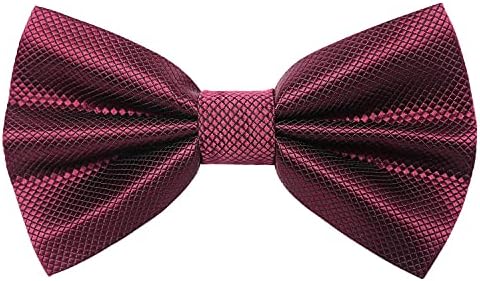 HISDERN Mens Paisley Pre-Tied Bow Set Adjustable Formal Neck Bowtie for Wedding Party