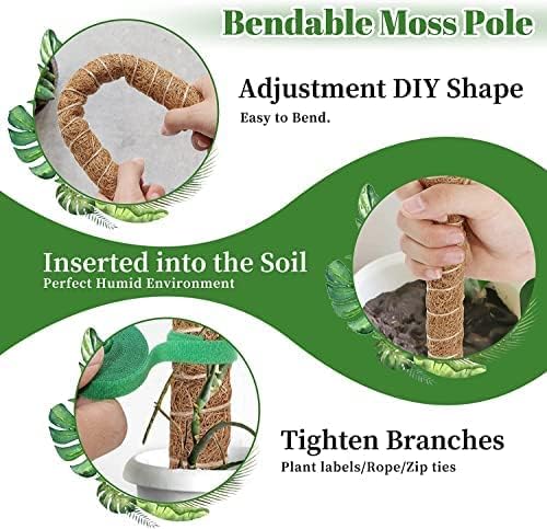 Image of Garden Art Premium 24 inch Moss Coir Pole | Stackable & Bendable Plant Support Stick for Monstera, Money Plant & Climbers | Strong Indoor Outdoor Plant Extension to Grow Upwards GABCP-60 (Pack of 1)
