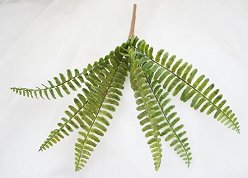 Lily Garden 12" Artificial Soft Plastic Boston Fern - Package Of 6 #TOP4