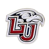 Desert Cactus Liberty University Lapel Pin LIB Flames Made of Metal for Formal Wear, Bag and Hat Jewelry, and Tie Tack (Pin A)