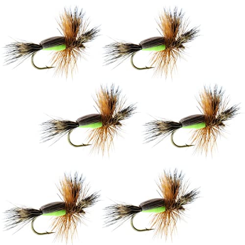 The Fly Fishing Place Chartreuse Humpy Classic Trout Dry Fly Fishing Flies - Set of 6 Flies Size 12