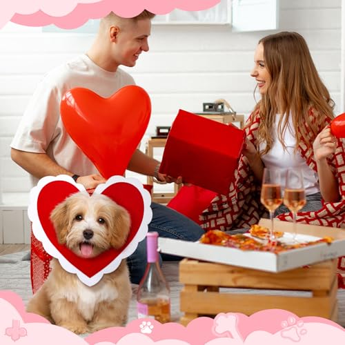 Disfraz para perro con corazón rojo tamaño pequeño miniatura 5