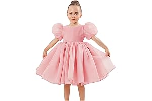 Girl Baby Toddler Big Puffy Puff Sleeve Organza Tulle Tutu Festive Wedding...