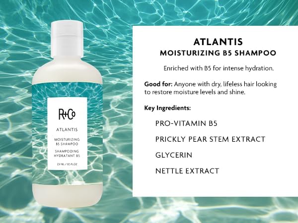 RCo-Atlantis-Moisturizing-B5-Shampoo-and-Conditioner-Set-85-Oz-High-Dive-Travel-Size-5-Oz-Shines-Tames-Frizz-Hydrates-Vegan-Cruelty-Free