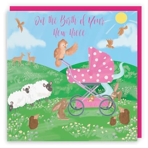 Hunts England New Baby Niece Card Cover