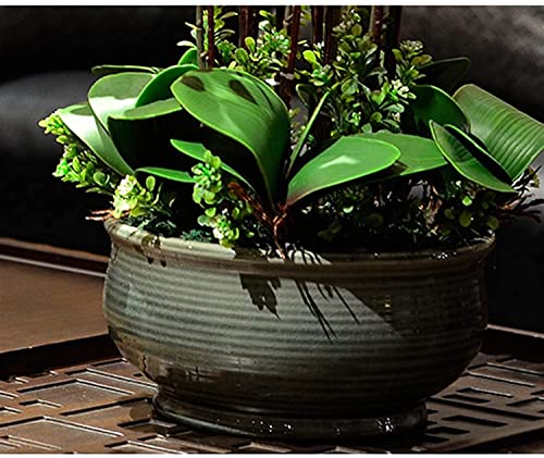 Fleur plastique Phalaenopsis grand format en pot sans aucun entretien