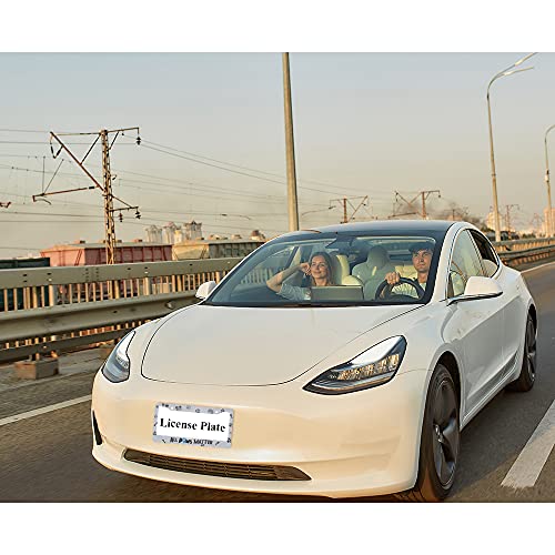 Ofloral All Paws Matter Aluminum Alloy License Plate Frame Cat Dog Lovers Blue Grey Cute Pawprints Fish Bones Applicable To Us Standard Car Metal Front Car Tag Frame Cover Holder For Women Men(1 Pack) #TOP2