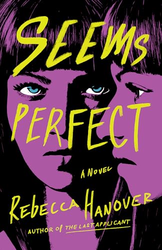 Seems Perfect: A Novel view 2